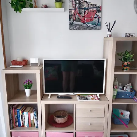 Estudio Erika
