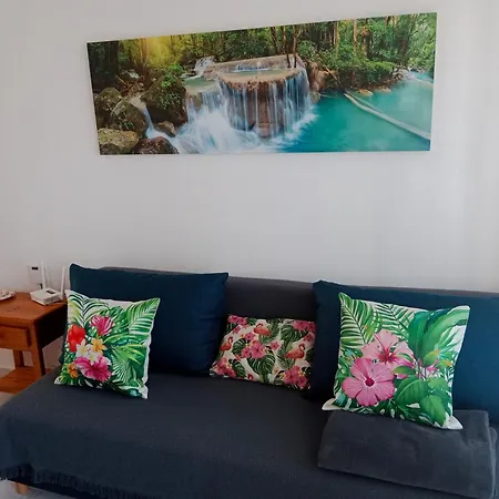 Estudio Erika Apartamento Torrevieja