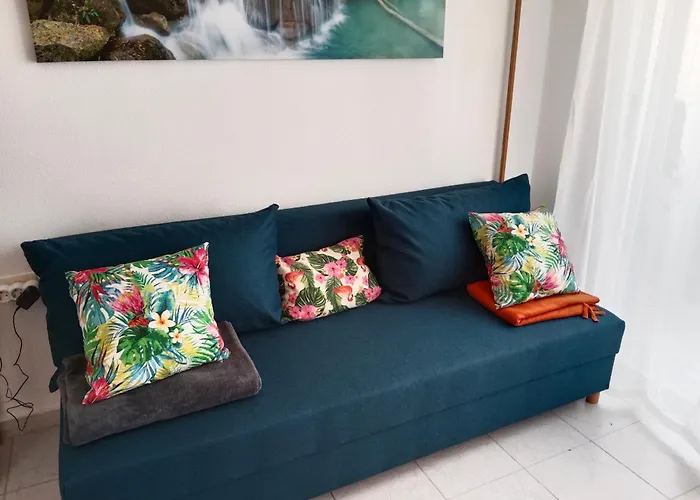 Estudio Erika Torrevieja