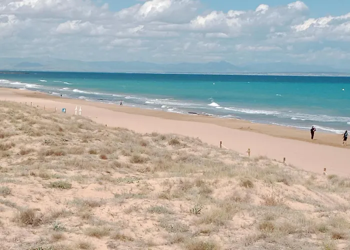 Estudio Erika Torrevieja