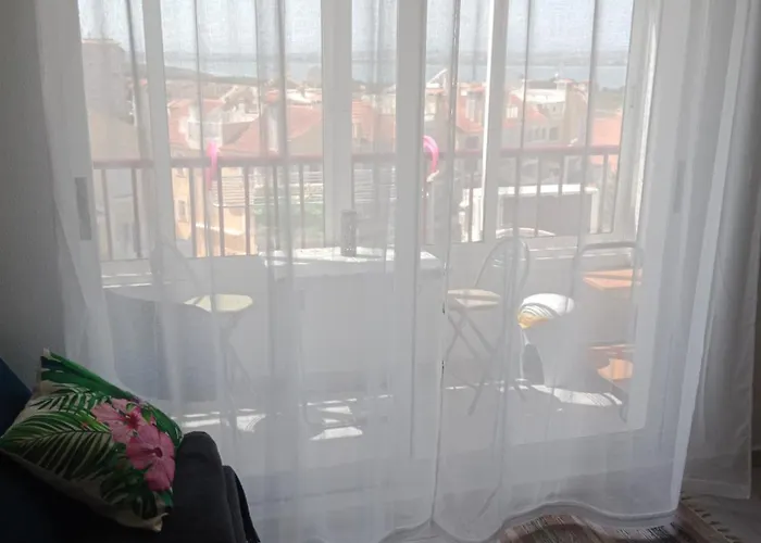 Estudio Erika * Torrevieja